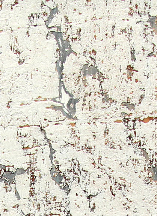 Cork Wallcovering SN103 DesignYourWall
