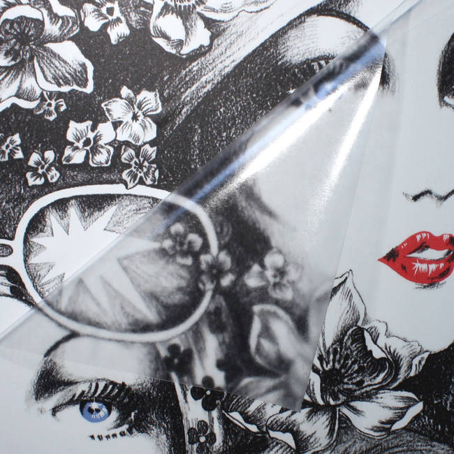 Clear Glossy Contact Paper DesignYourWall